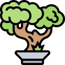 bonsai