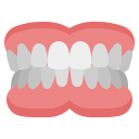 Denture