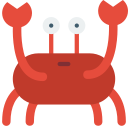 krabbe
