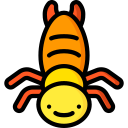 Earwig