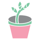 식물