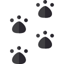 Pawprints