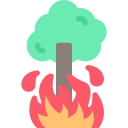 燃える木