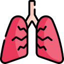 pulmones