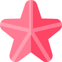 estrella de mar