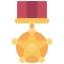 medal gwiazda
