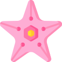 estrelas do mar