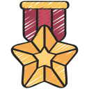 medal gwiazda