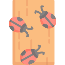 lieveheersbeestje