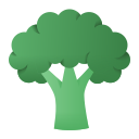 brokkoli