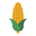 Corn