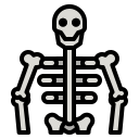 Skeleton