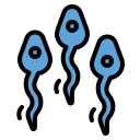 sperme