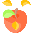 manzana