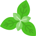 albahaca