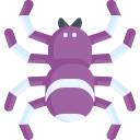 spinne