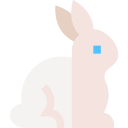 conejo