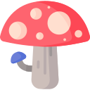 Fungi