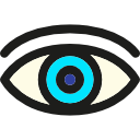 Eye