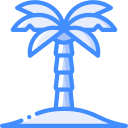 Palm tree