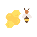 꿀