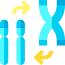 chromosome