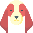 hond