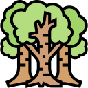 Árvore de vidoeiro