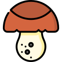 champignon