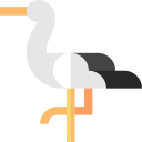cicogna bianca