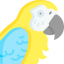 Parrot