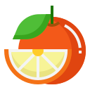 fatia de laranja