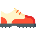 Shoe