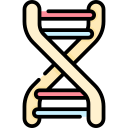 faixa de dna