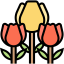 tulipas