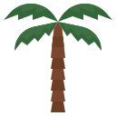 palmera datilera