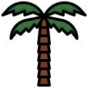palma daktylowa