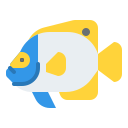 anglefish
