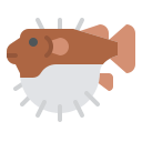 рыба фугу