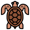 tortuga