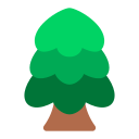 松の木