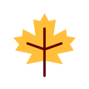 Maple leaf