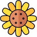 tournesol