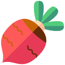 Beet