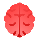 인간의 뇌