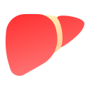 fígado