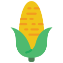 Corn