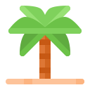 kokosnootboom