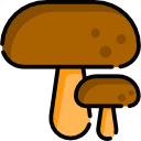 champignon