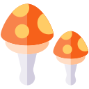 Mushroom